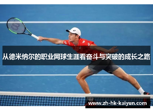 从德米纳尔的职业网球生涯看奋斗与突破的成长之路