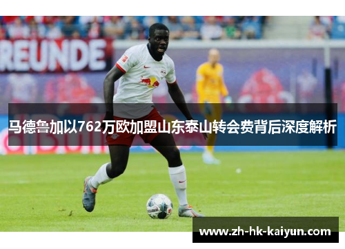马德鲁加以762万欧加盟山东泰山转会费背后深度解析 马德鲁加以762万欧加盟山东泰山转会费背后深度解析